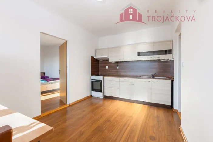 Prodej bytu 1+1, Ostrava, 28. října, 48 m2