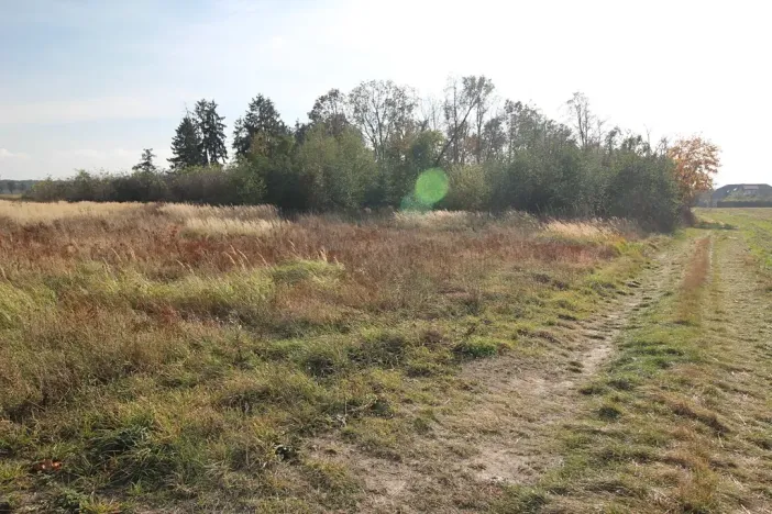 Prodej pozemku, Dolní Břežany, Keltská, 3508 m2