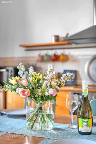 Prodej bytu 4+kk, Praha - Zbraslav, Jaromíra Vejvody, 187 m2