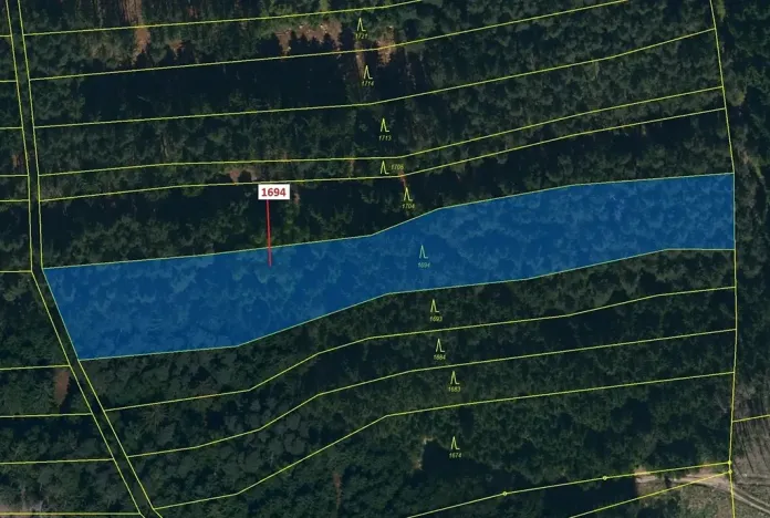 Dražba lesa, Žirovnice, 5755 m2