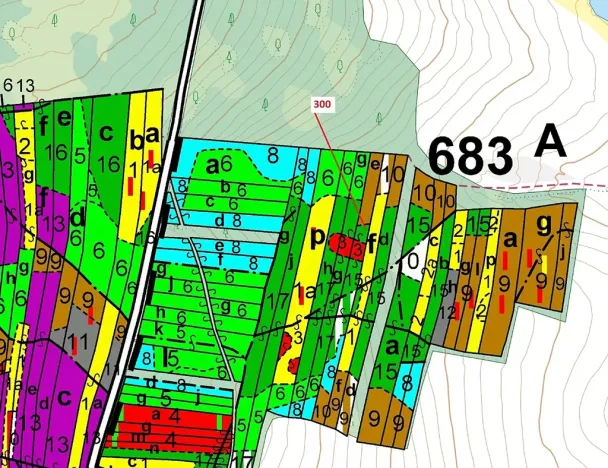 Dražba lesa, Vesce, 5196 m2