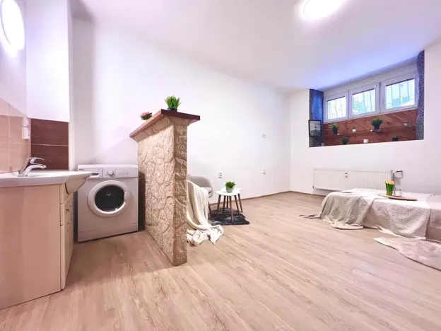 Prodej bytu 1+1, Praha - Žižkov, Biskupcova, 29 m2