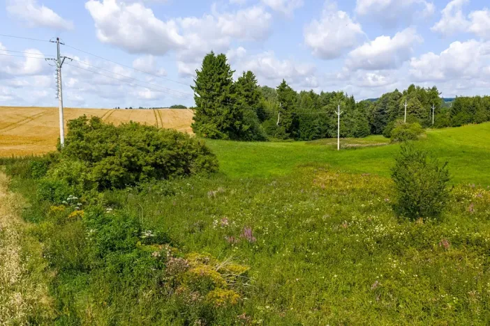 Prodej rybníku, Želetava, 5179 m2