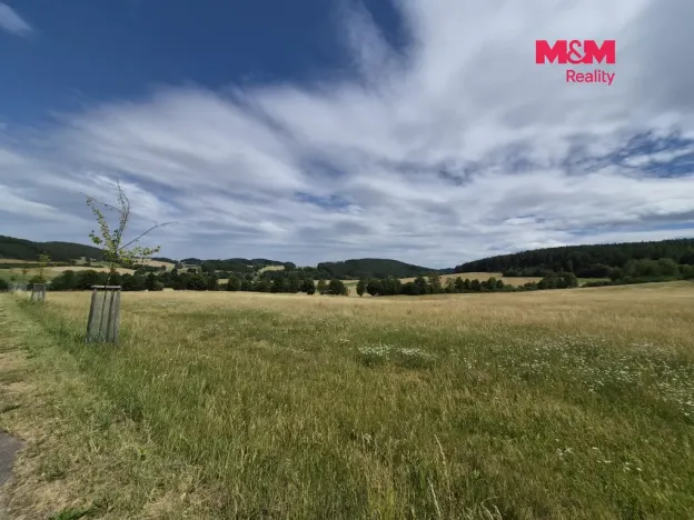 Prodej louky, Malenice, 25808 m2