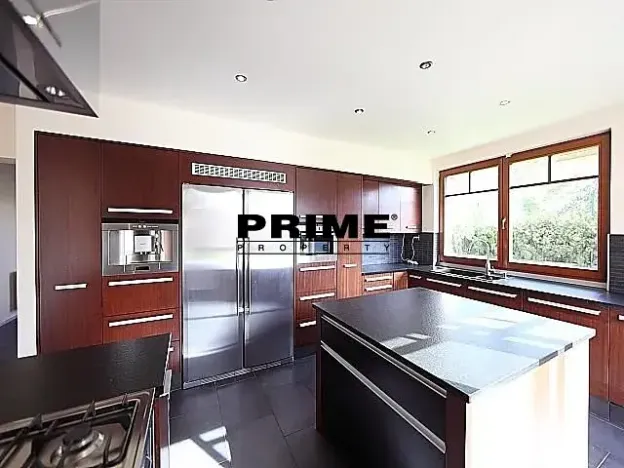 Pronájem rodinného domu, Průhonice, Pod Valem II., 320 m2