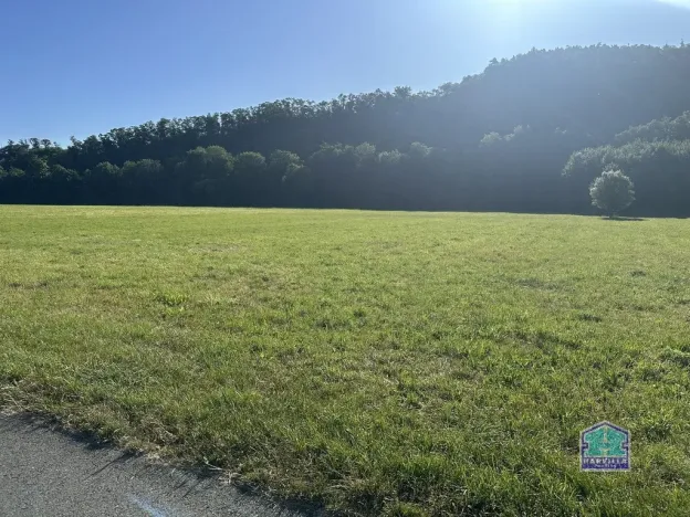 Prodej louky, Plzeň - Božkov, 2000 m2