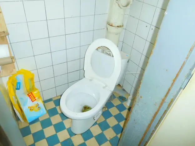 Pronájem výrobních prostor, Frýdlant nad Ostravicí, 80 m2