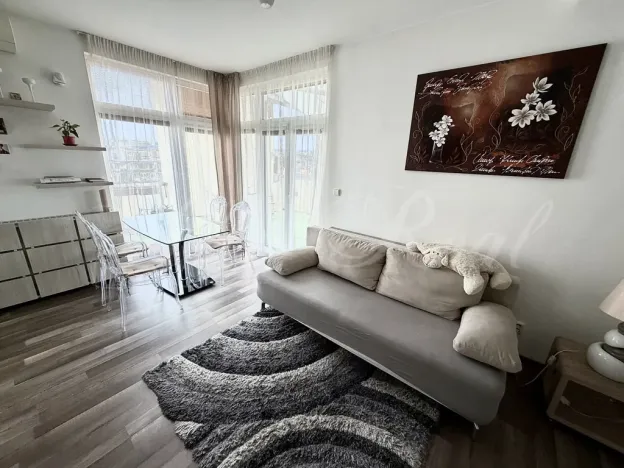 Pronájem bytu 2+kk, Brno - Veveří, Kounicova, 45 m2