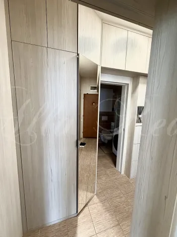 Pronájem bytu 2+kk, Brno - Veveří, Kounicova, 45 m2