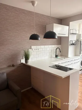 Pronájem bytu 1+kk, Teplice, U divadla, 38 m2