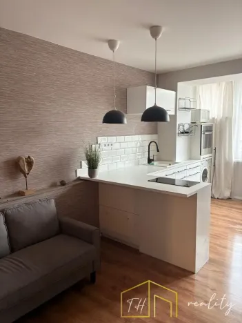 Pronájem bytu 1+kk, Teplice, U divadla, 38 m2