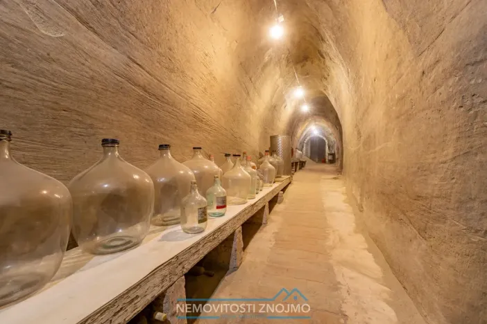 Prodej vinného sklepa, Dobšice, Leska, 25 m2