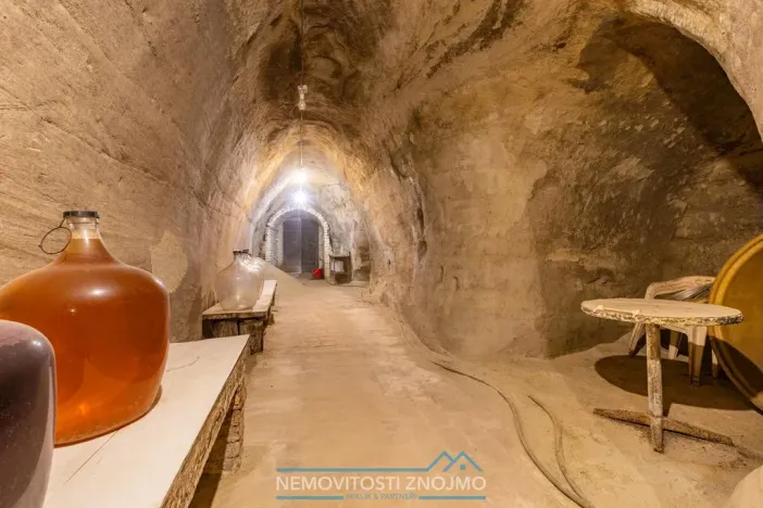 Prodej vinného sklepa, Dobšice, Leska, 25 m2