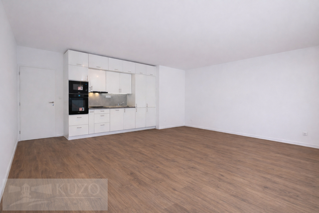 Pronájem bytu 1+kk, Brno, Auerswaldova, 32 m2