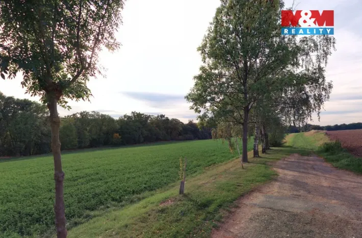 Prodej pole, Bratčice, 19072 m2