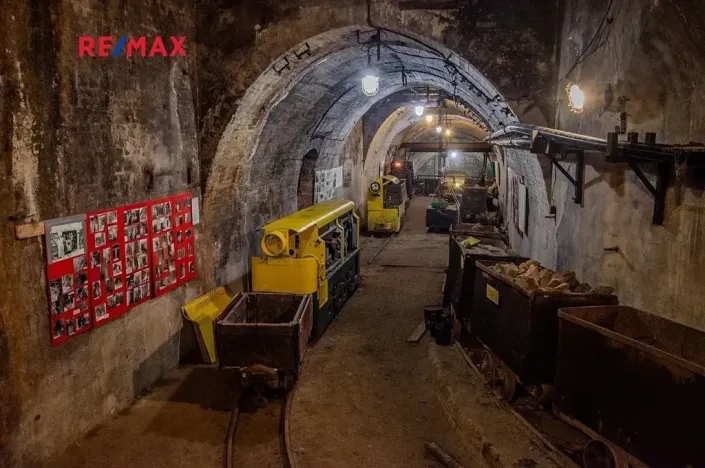 Prodej pozemku pro bydlení, Chrustenice, 1063 m2