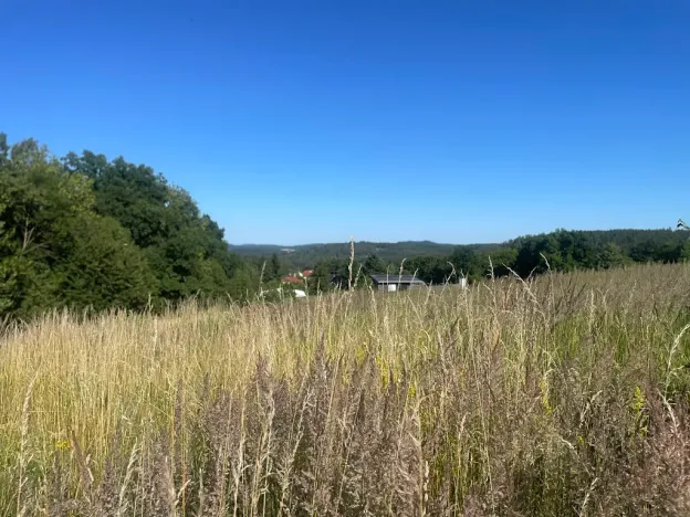 Prodej pozemku pro bydlení, Buš, 1284 m2