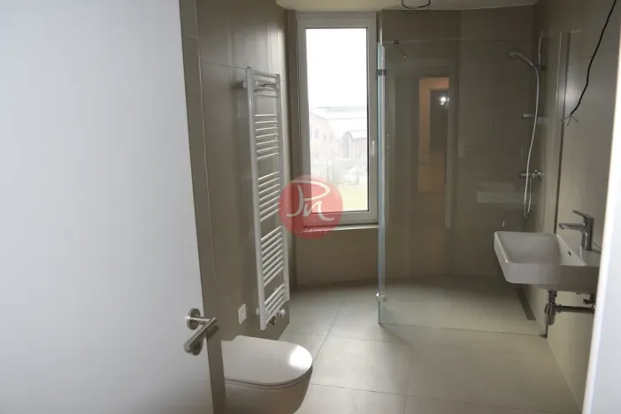 Pronájem bytu 2+kk, Ostrava, F. X. Riepla, 54 m2