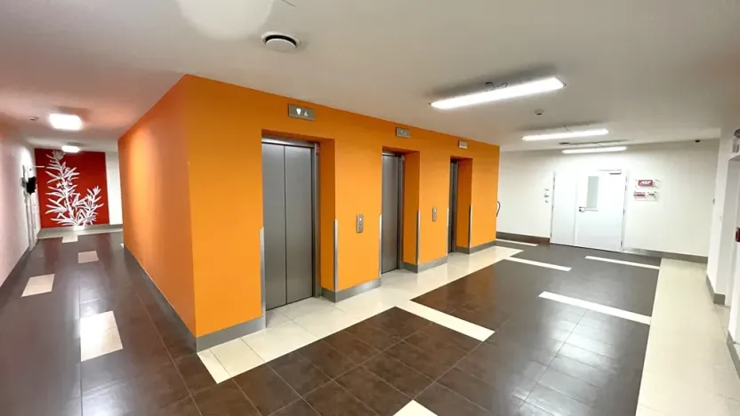 Pronájem kanceláře, Praha - Holešovice, Dělnická, 1252 m2