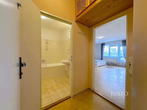 Pronájem bytu 1+kk, Praha, Kodymova, 41 m2