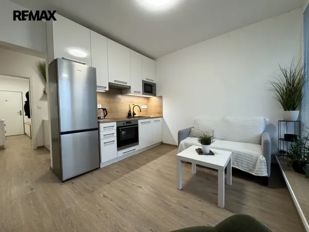 Pronájem bytu 1+kk, Olomouc, Camilla Sitteho, 31 m2