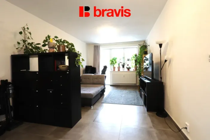 Pronájem bytu 2+kk, Brno - Ponava, Poděbradova, 56 m2