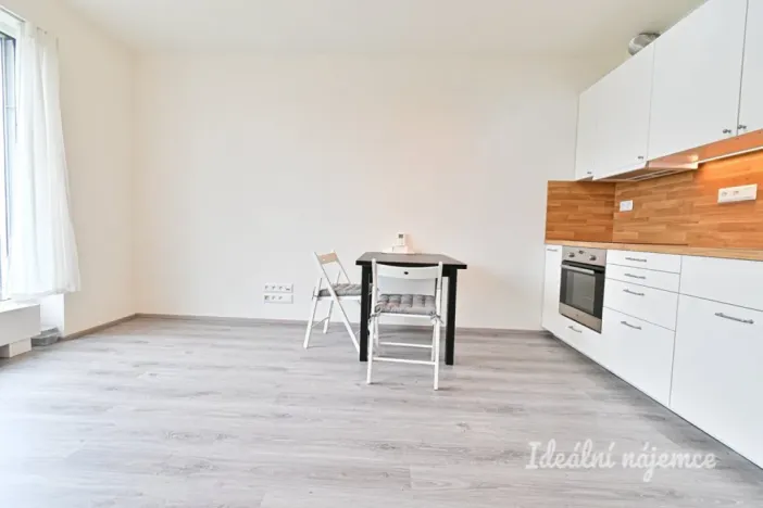 Pronájem bytu 1+kk, Brno - Sadová, Moskalykova, 41 m2