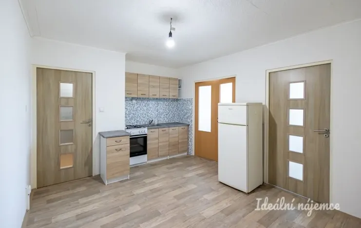 Pronájem bytu 2+1, Praha - Karlín, Nekvasilova, 41 m2