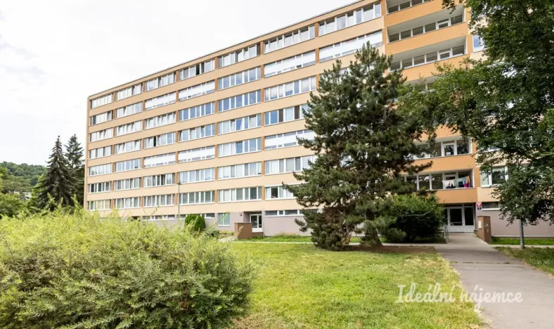 Pronájem bytu 2+1, Praha - Karlín, Nekvasilova, 41 m2