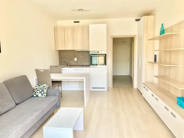 Pronájem bytu 1+kk, Praha - Vršovice, Petrohradská, 30 m2