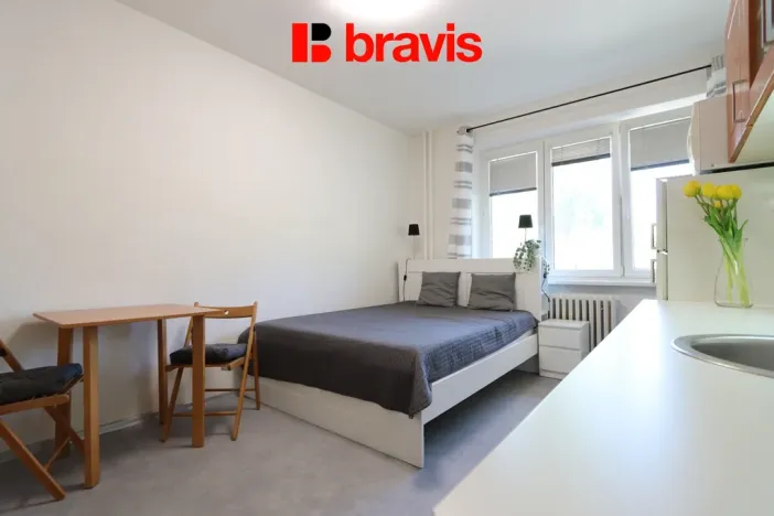 Pronájem bytu 1+kk, Brno, Leitnerova, 22 m2