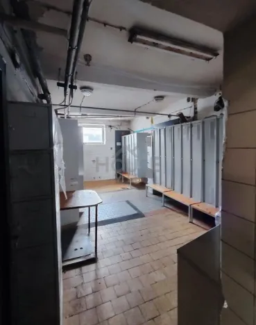 Prodej výrobních prostor, Přelouč, Sportovní, 4222 m2