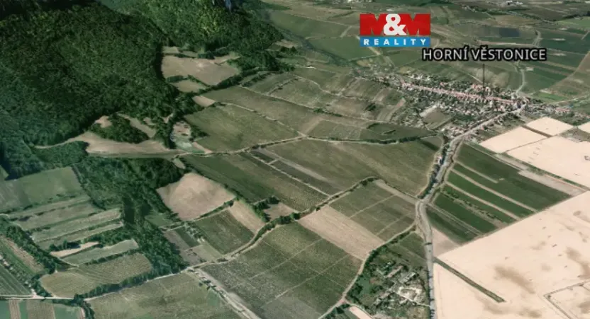 Pronájem pole, Horní Věstonice, 4000 m2