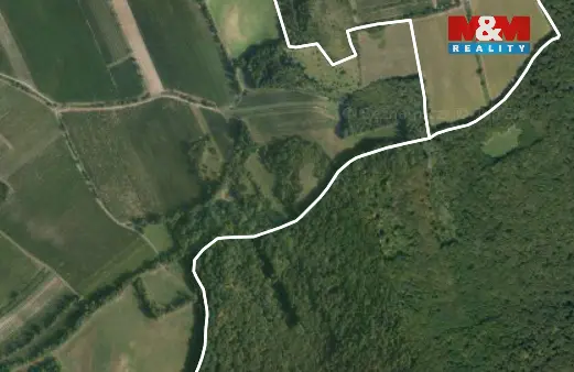 Prodej pole, Horní Věstonice, 4000 m2