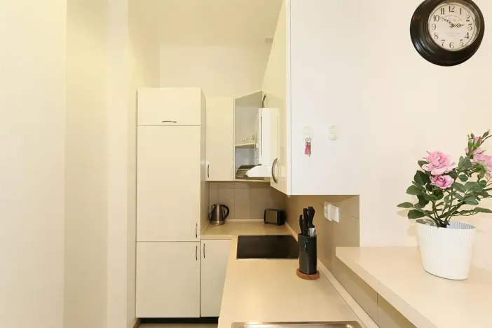 Pronájem bytu 2+kk, Praha - Vinohrady, Belgická, 42 m2