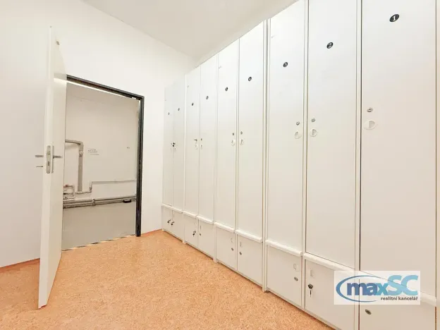 Prodej skladu, Říčany, Technická, 4150 m2