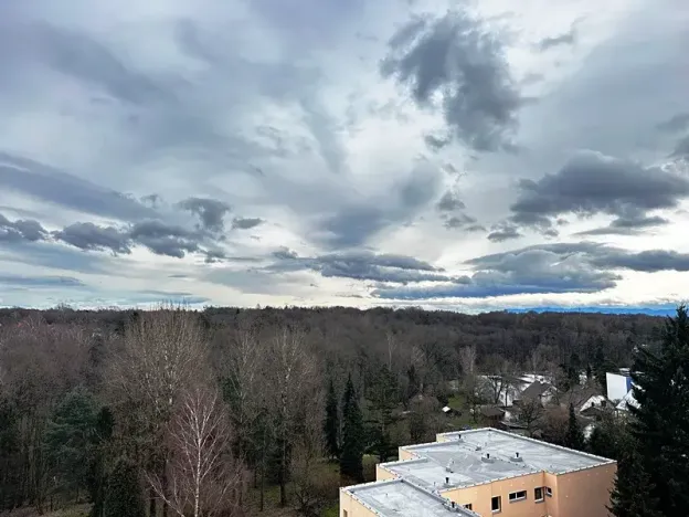 Prodej bytu 1+1, Orlová, Lesní, 37 m2