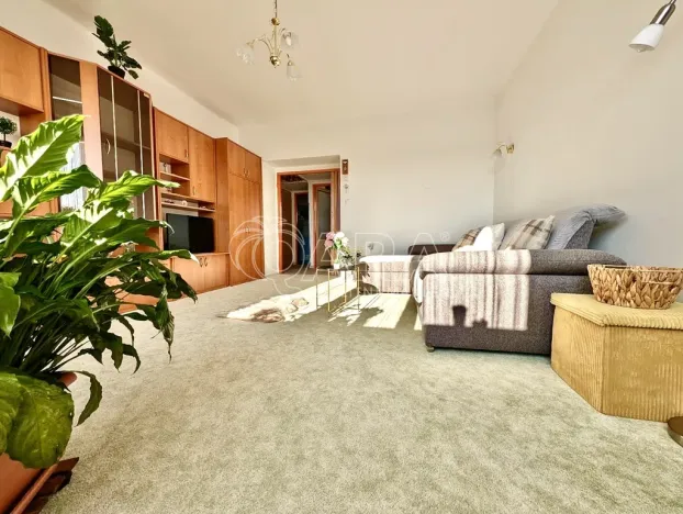 Prodej bytu 2+1, Přeštice, Červenkova, 64 m2