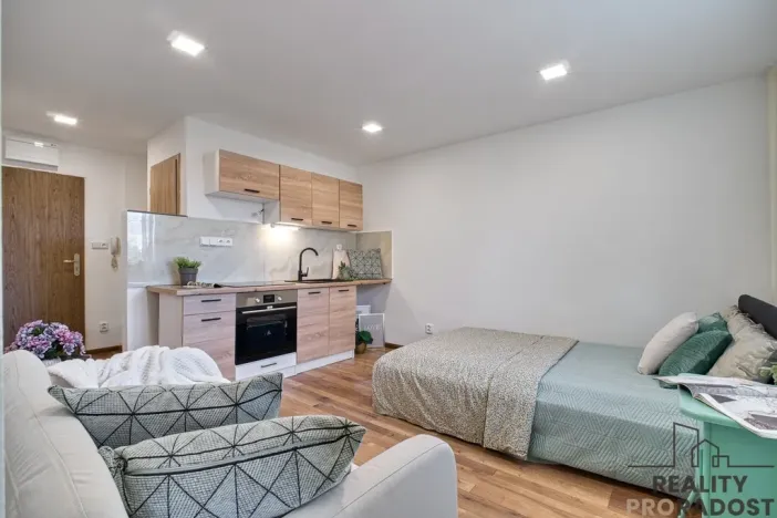 Pronájem bytu 1+kk, Karviná, Prameny, 20 m2