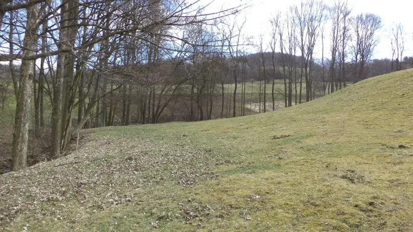 Prodej pole, Heřmanov - Fojtovice, 4633 m2