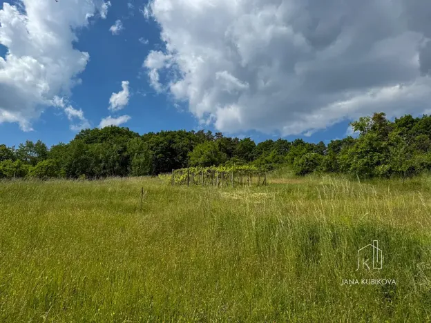 Prodej pozemku pro bydlení, Vřesovice, 2455 m2