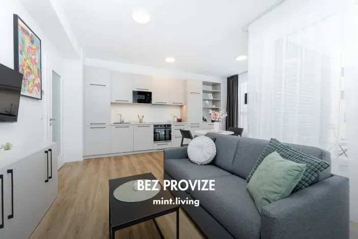 Pronájem bytu 2+kk, Praha - Vysočany, Odkolkova, 52 m2