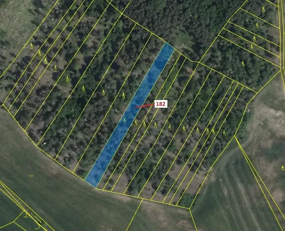 Dražba lesa, Klučov, 2665 m2