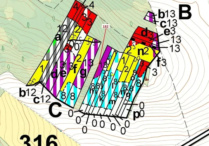 Dražba lesa, Klučov, 2665 m2