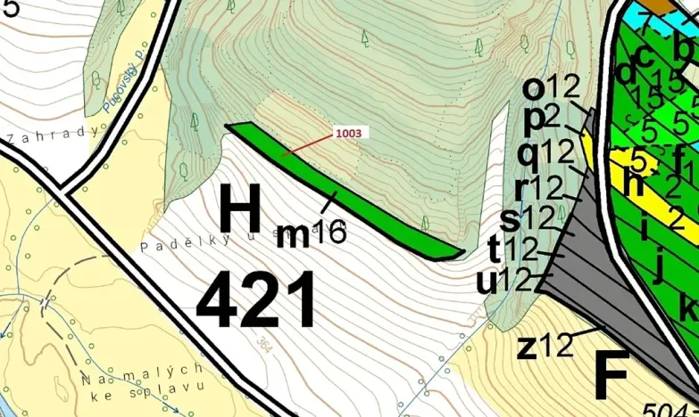 Dražba lesa, Náměšť nad Oslavou, 3001 m2