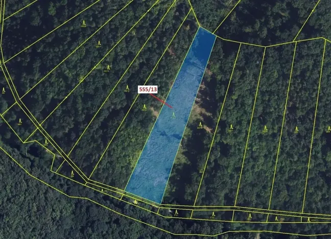 Dražba lesa, Vranová Lhota, 5798 m2