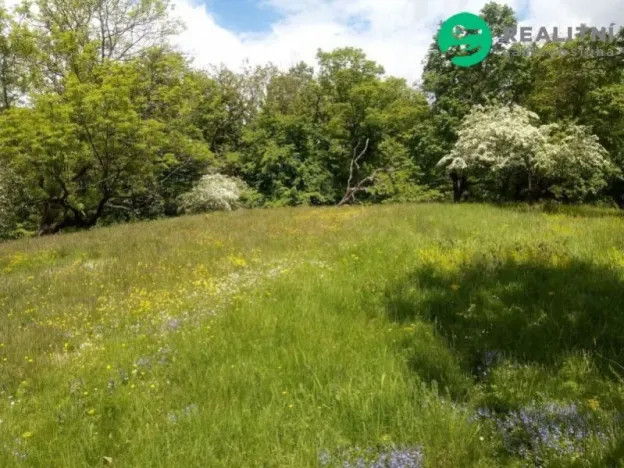 Prodej zahrady, Krňany - Třebsín, 679 m2