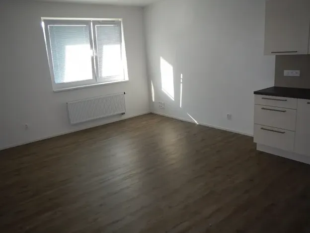 Prodej bytu 1+kk, Hranice, Pod Nemocnicí, 36 m2