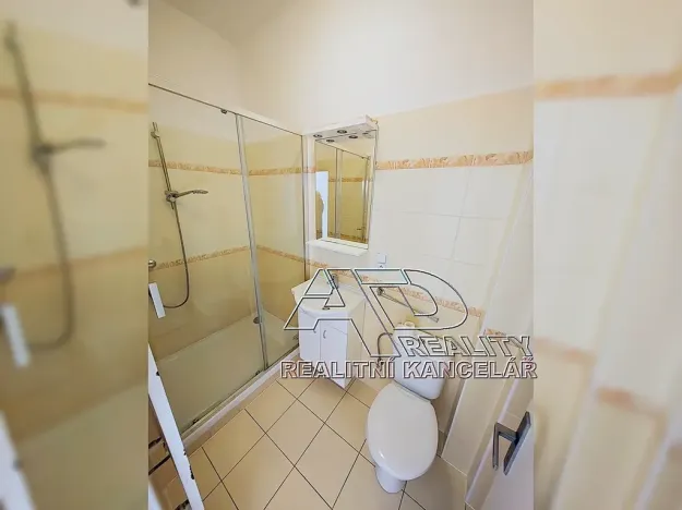 Pronájem bytu 2+1, České Budějovice, L. B. Schneidera, 54 m2