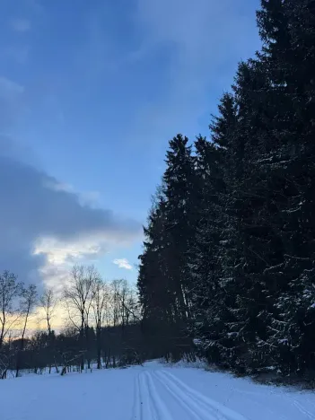 Prodej lesa, Lužany, 2098 m2